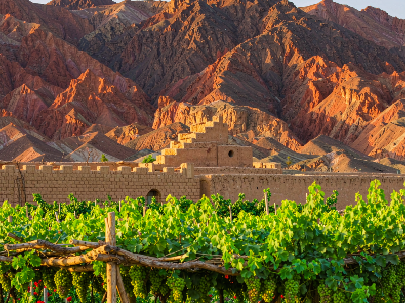 Turpan vineyard and Flaming Mountains